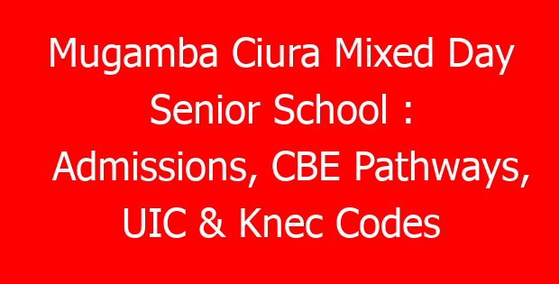 Mugamba Ciura Mixed Day Senior School : Admissions, CBE Pathways, UIC & Knec Codes