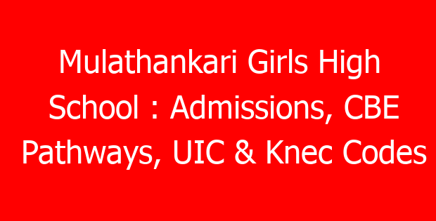 Mulathankari Girls High School : Admissions, CBE Pathways, UIC & Knec Codes