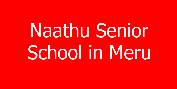 Naathu Senior School in Meru
