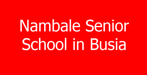 Nambale Senior School in Busia