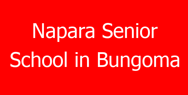 Napara Senior School in Bungoma