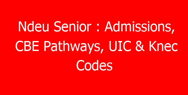 Ndeu Senior : Admissions, CBE Pathways, UIC & Knec Codes