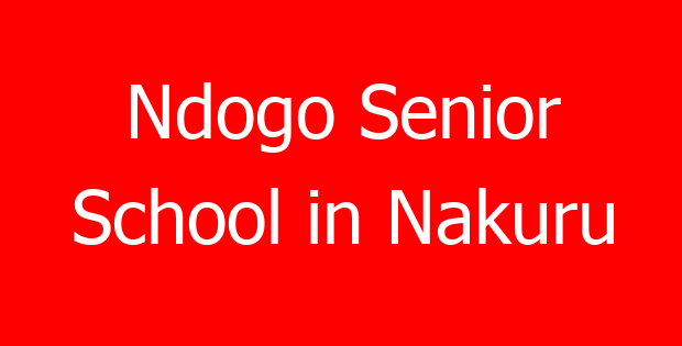Ndogo Senior School in Nakuru