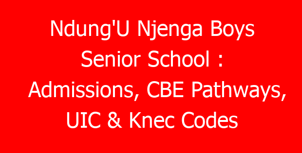 Ndung’U Njenga Boys Senior School : Admissions, CBE Pathways, UIC & Knec Codes