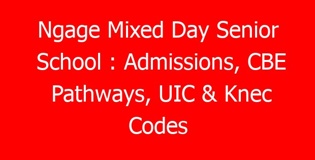 Ngage Mixed Day Senior School : Admissions, CBE Pathways, UIC & Knec Codes