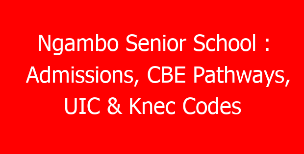 Ngambo Senior School : Admissions, CBE Pathways, UIC & Knec Codes