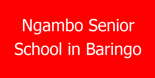 Ngambo Senior School in Baringo