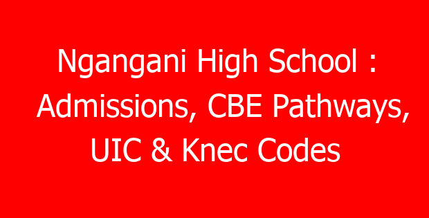 Ngangani High School : Admissions, CBE Pathways, UIC & Knec Codes