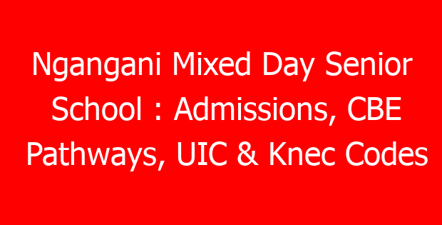 Ngangani Mixed Day Senior School : Admissions, CBE Pathways, UIC & Knec Codes