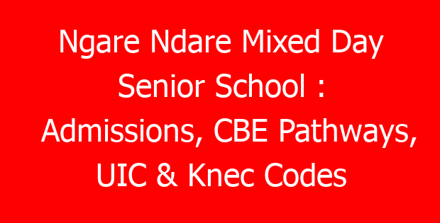Ngare Ndare Mixed Day Senior School : Admissions, CBE Pathways, UIC & Knec Codes