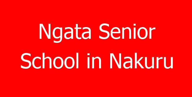 Ngata Senior School in Nakuru