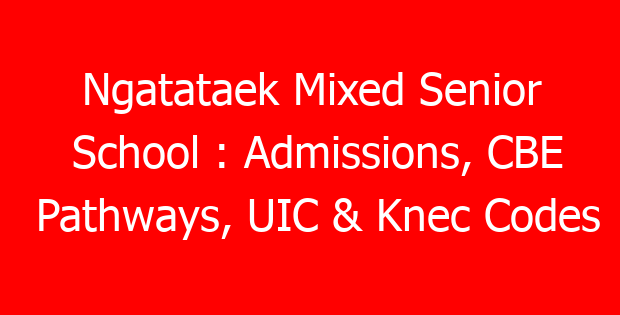 Ngatataek Mixed Senior School : Admissions, CBE Pathways, UIC & Knec Codes