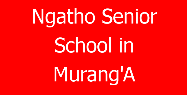 Ngatho Senior School in Murang’A