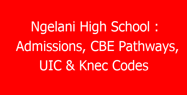 Ngelani High School : Admissions, CBE Pathways, UIC & Knec Codes