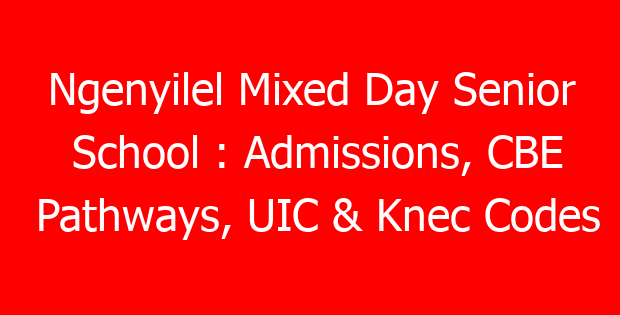 Ngenyilel Mixed Day Senior School : Admissions, CBE Pathways, UIC & Knec Codes