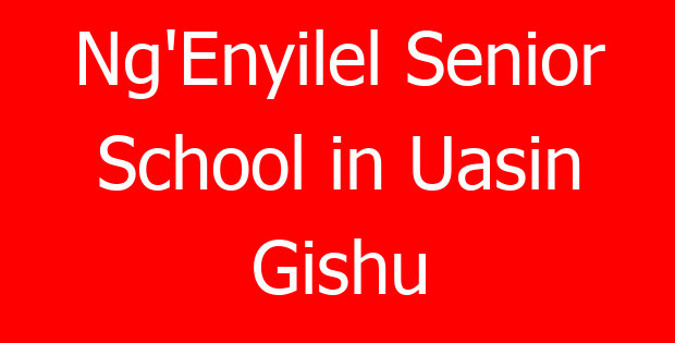 Ng’Enyilel Senior School in Uasin Gishu