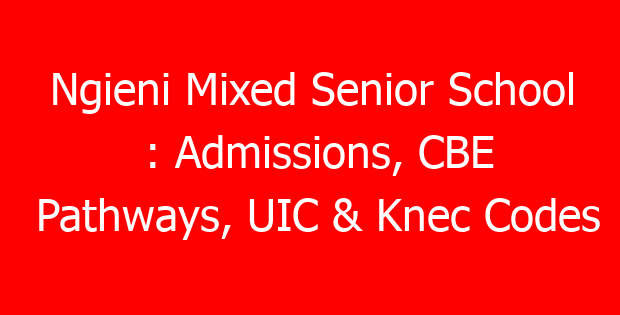 Ngieni Mixed Senior School : Admissions, CBE Pathways, UIC & Knec Codes