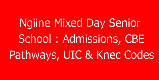 Ngiine Mixed Day Senior School : Admissions, CBE Pathways, UIC & Knec Codes