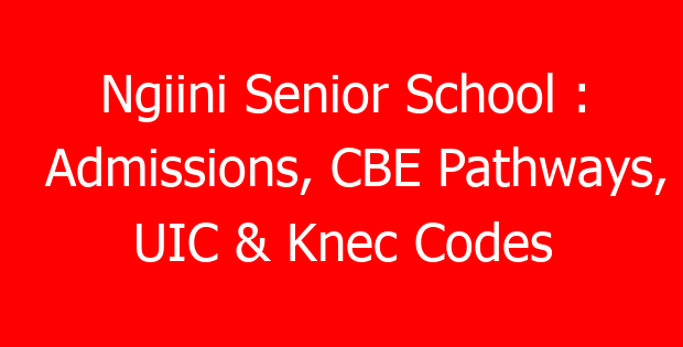 Ngiini Senior School : Admissions, CBE Pathways, UIC & Knec Codes