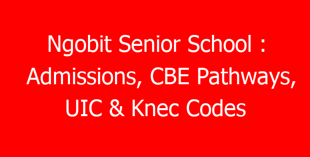 Ngobit Senior School : Admissions, CBE Pathways, UIC & Knec Codes
