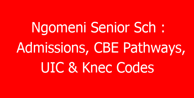 Ngomeni Senior Sch : Admissions, CBE Pathways, UIC & Knec Codes
