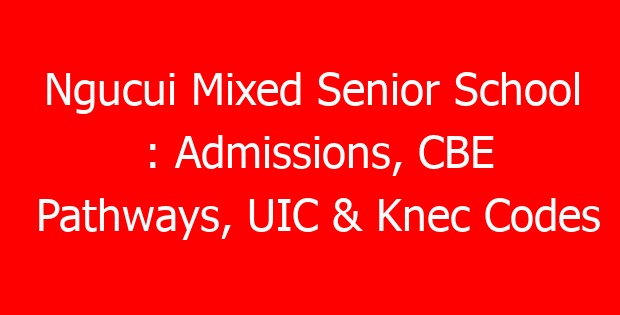 Ngucui Mixed Senior School : Admissions, CBE Pathways, UIC & Knec Codes