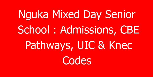 Nguka Mixed Day Senior School : Admissions, CBE Pathways, UIC & Knec Codes