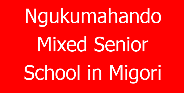 Ngukumahando Mixed Senior School in Migori