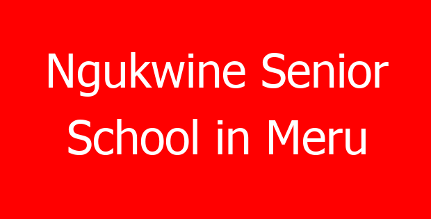 Ngukwine Senior School in Meru