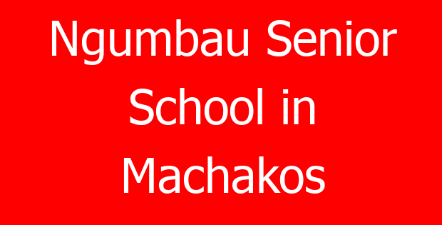Ngumbau Senior School in Machakos