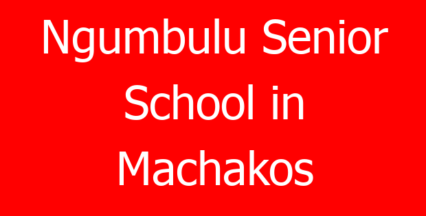 Ngumbulu Senior School in Machakos