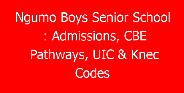 Ngumo Boys Senior School : Admissions, CBE Pathways, UIC & Knec Codes