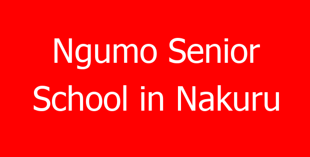 Ngumo Senior School in Nakuru