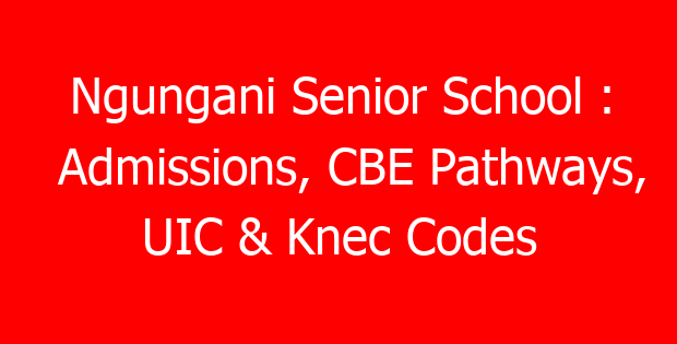 Ngungani Senior School : Admissions, CBE Pathways, UIC & Knec Codes