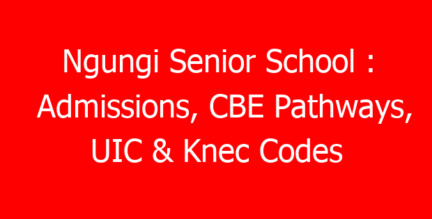 Ngungi Senior School : Admissions, CBE Pathways, UIC & Knec Codes