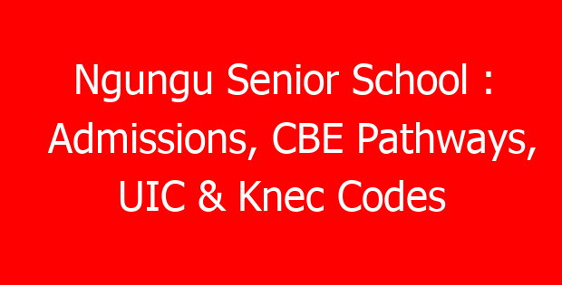 Ngungu Senior School : Admissions, CBE Pathways, UIC & Knec Codes