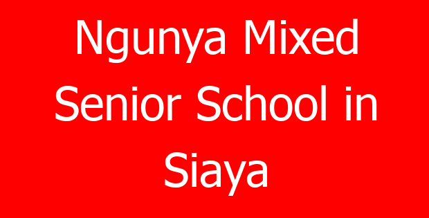 Ngunya Mixed Senior School in Siaya