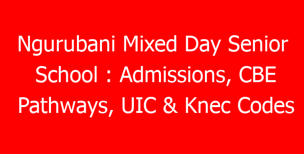 Ngurubani Mixed Day Senior School : Admissions, CBE Pathways, UIC & Knec Codes