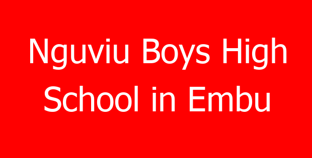 Nguviu Boys High School in Embu