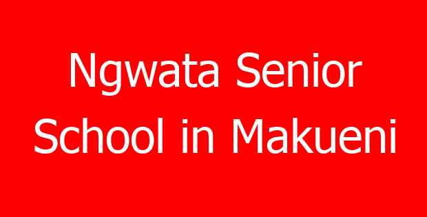 Ngwata Senior School in Makueni