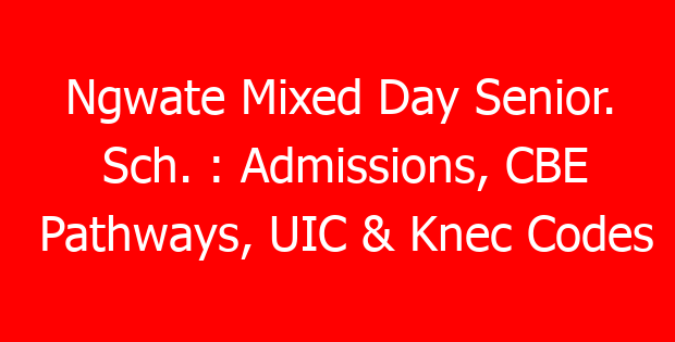 Ngwate Mixed Day Senior. Sch. : Admissions, CBE Pathways, UIC & Knec Codes