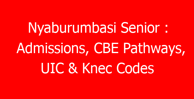 Nyaburumbasi Senior : Admissions, CBE Pathways, UIC & Knec Codes