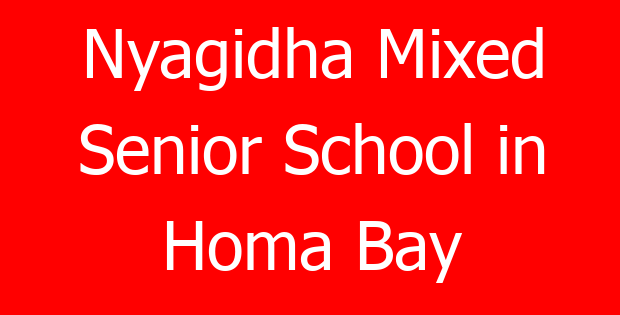 Nyagidha Mixed Senior School in Homa Bay