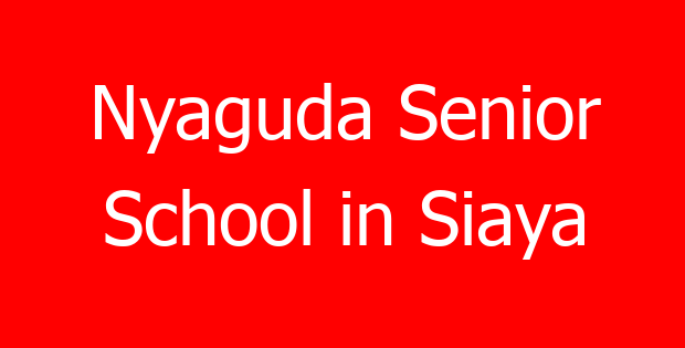 Nyaguda Senior School in Siaya