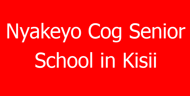 Nyakeyo Cog Senior School in Kisii