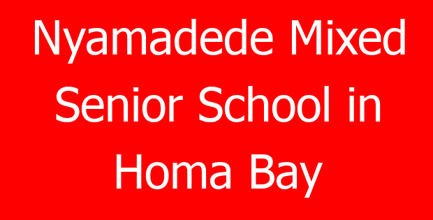 Nyamadede Mixed Senior School in Homa Bay
