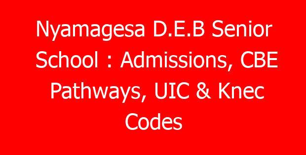 Nyamagesa D.E.B Senior School : Admissions, CBE Pathways, UIC & Knec Codes