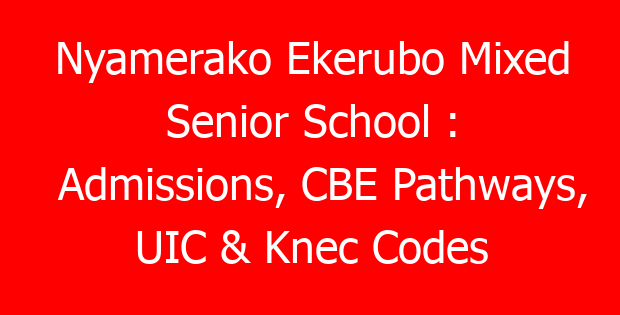 Nyamerako Ekerubo Mixed Senior School : Admissions, CBE Pathways, UIC & Knec Codes