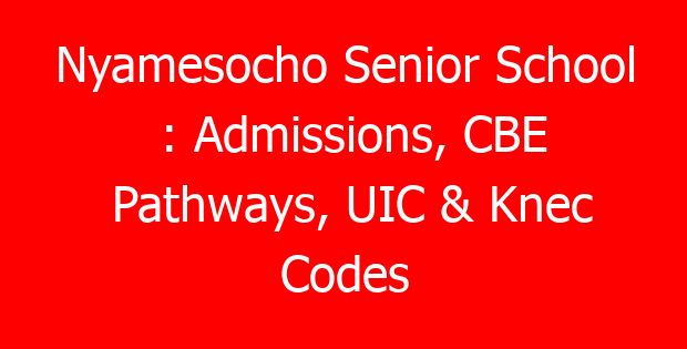 Nyamesocho Senior School : Admissions, CBE Pathways, UIC & Knec Codes