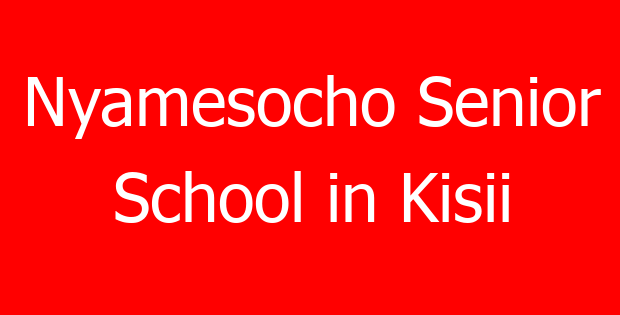Nyamesocho Senior School in Kisii